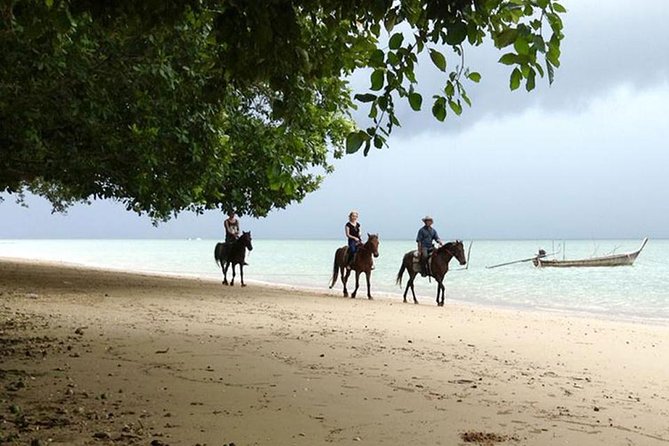 Krabi Horse Riding at The Beach - Should you book this Krabi horse ride?