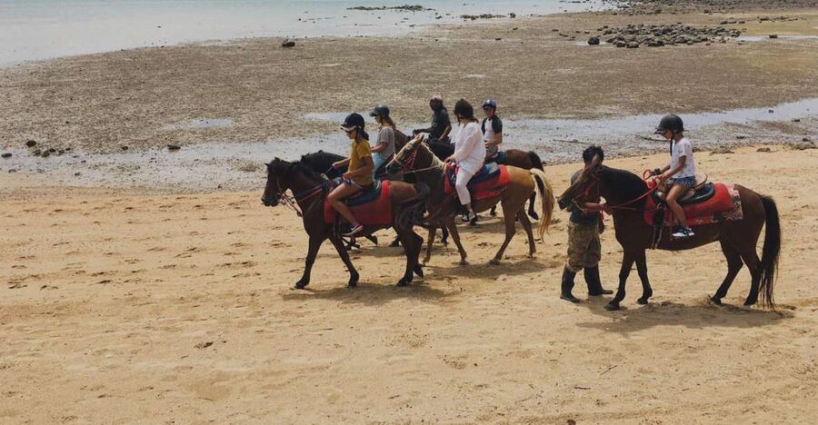 Krabi: Horseback Riding on the Beach - From Ao Nam Mao stables to the shore