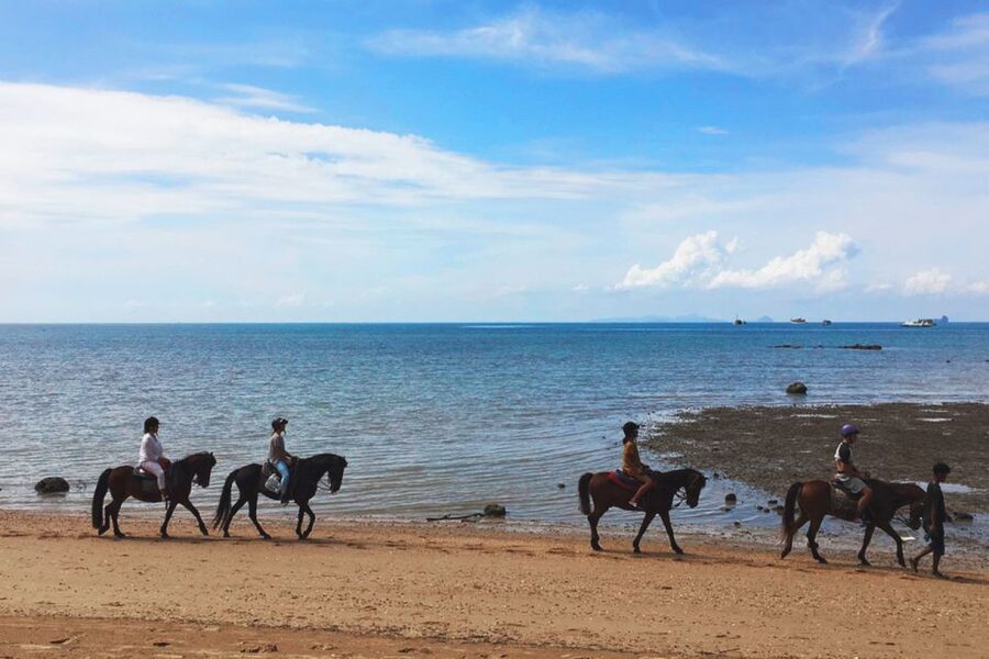 Krabi: Horseback Riding on the Beach - Should you book the Krabi horseback ride?
