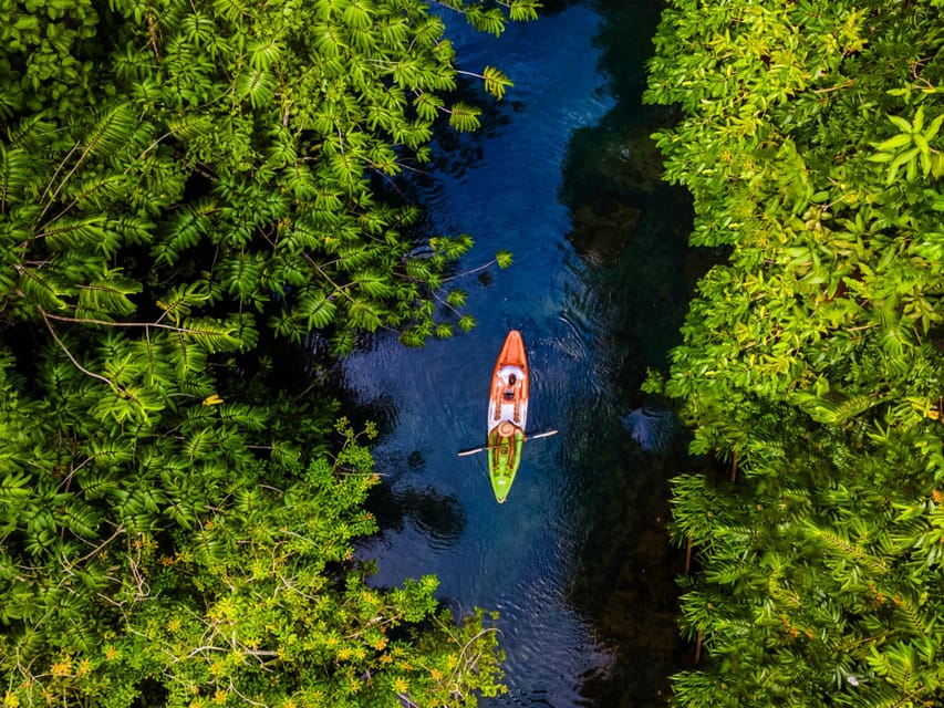 Krabi: Kayak Adventure through Ao Thalane Mangrove Forest - Who will enjoy Ao Thalane most?
