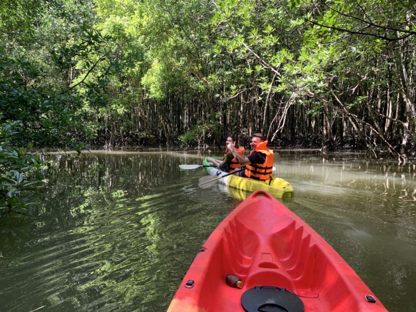 Krabi: Kayak in Mangrove Forest with Meal Aonang - A quieter side of Krabi, reached by kayak