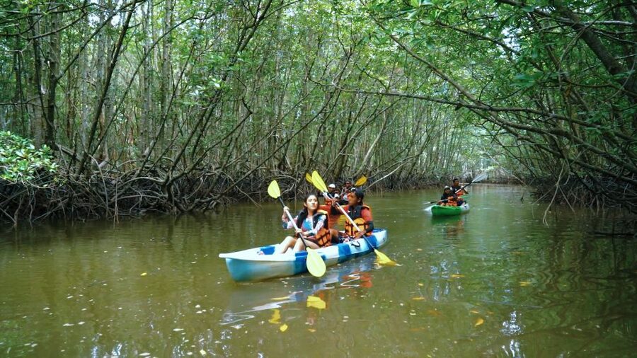 Krabi: Kayak in Mangrove Forest with Meal Aonang - Hotel pickup, then a short change of scene