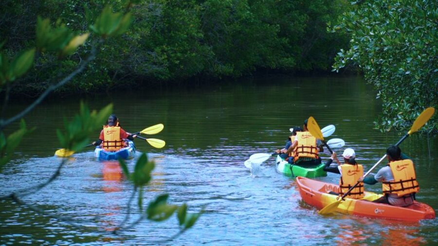 Krabi: Kayak in Mangrove Forest with Meal Aonang - Lunch is part of the outing, not an afterthought