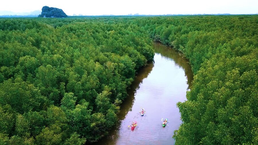 Krabi: Kayak in Mangrove Forest with Meal Aonang - FAQ