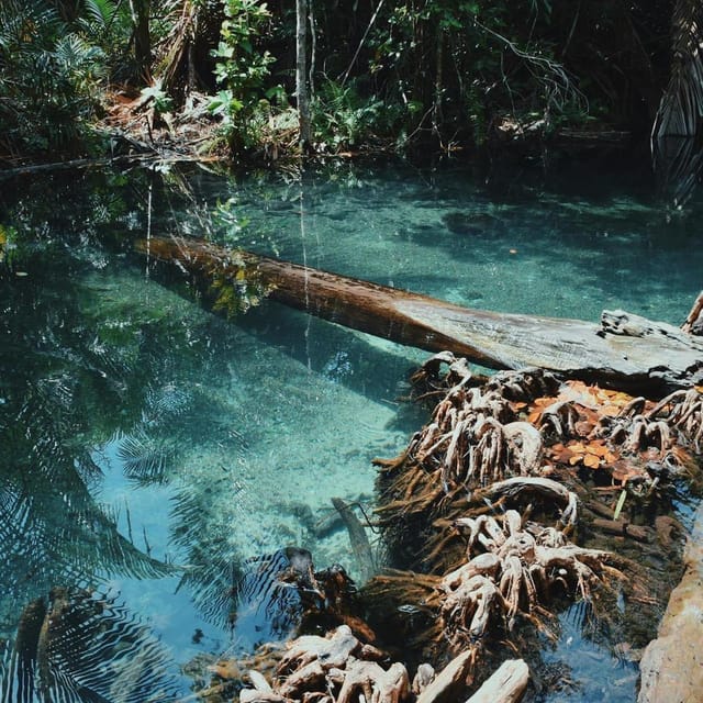 Krabi kayaking and swimming clongrood Tour - Klong Root at a glance