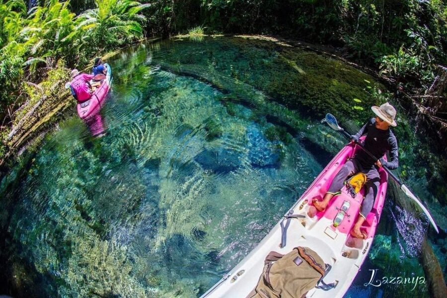 Krabi kayaking and swimming clongrood Tour - The swim stop brings a welcome change