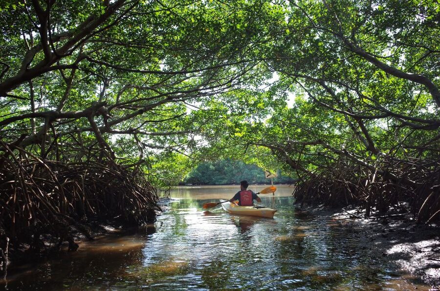 Krabi kayaking Ao thalane - What the Three-Hour Kayak Visit Includes