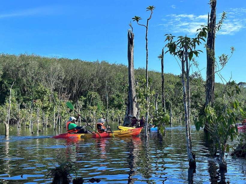 Krabi: Klong Root (Crystal lake) Kayaking tour - The details worth knowing