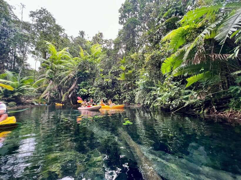 Krabi: Klong Root (Crystal lake) Kayaking tour - Klong Root is about the water, not a workout