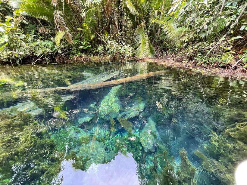 Krabi: Klong Root (Crystal lake) Kayaking tour - Paddling the clear-water route
