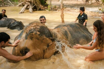 Love Elephant Sanctuary Tour
