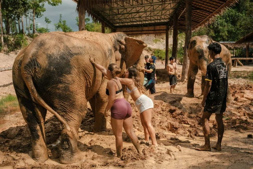 Krabi: Love Elephant Sanctuary Tour - Wash the elephants, then clean up yourself