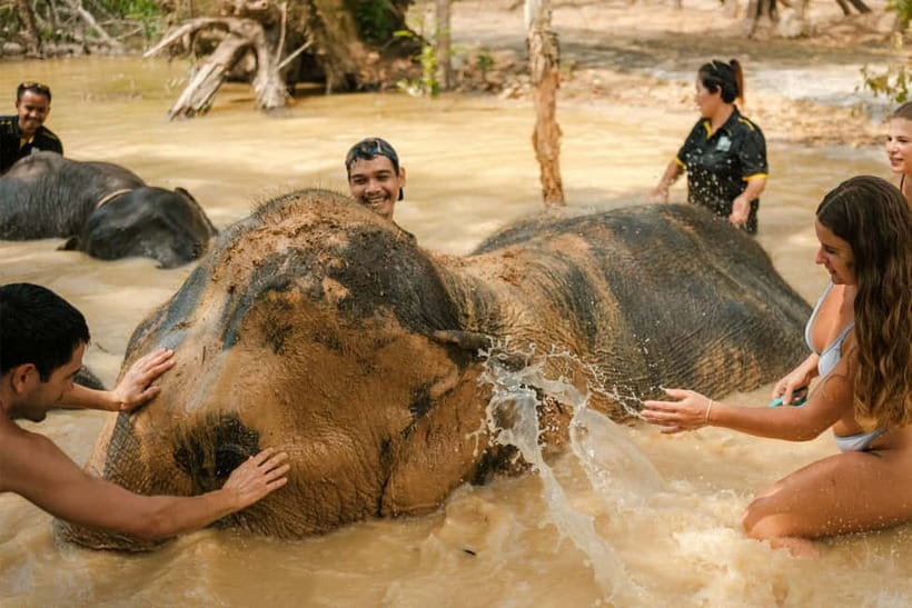 Krabi: Love Elephant Sanctuary Tour - See the tools, then prepare fruit