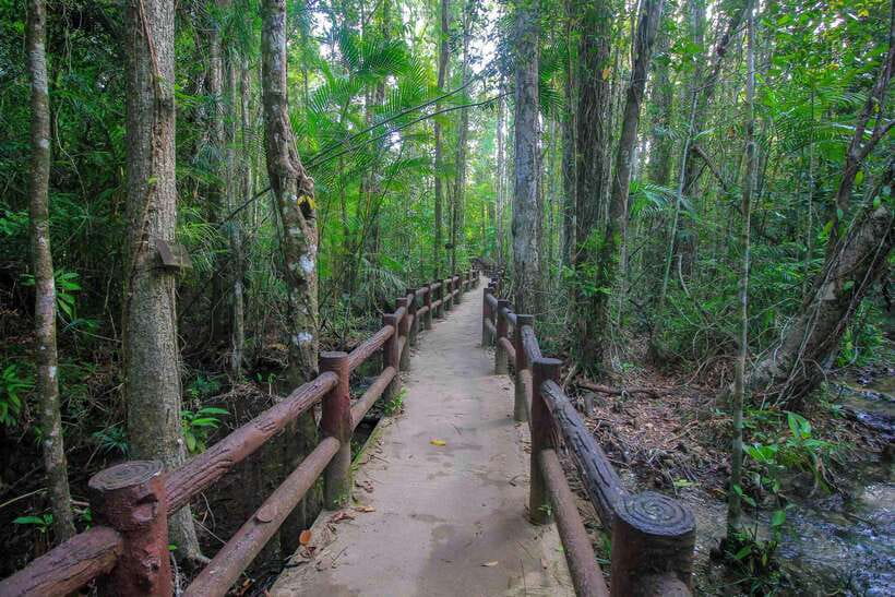 Krabi Outback Explorer to Emerald Pool & Wareerak Hotspring - At a glance