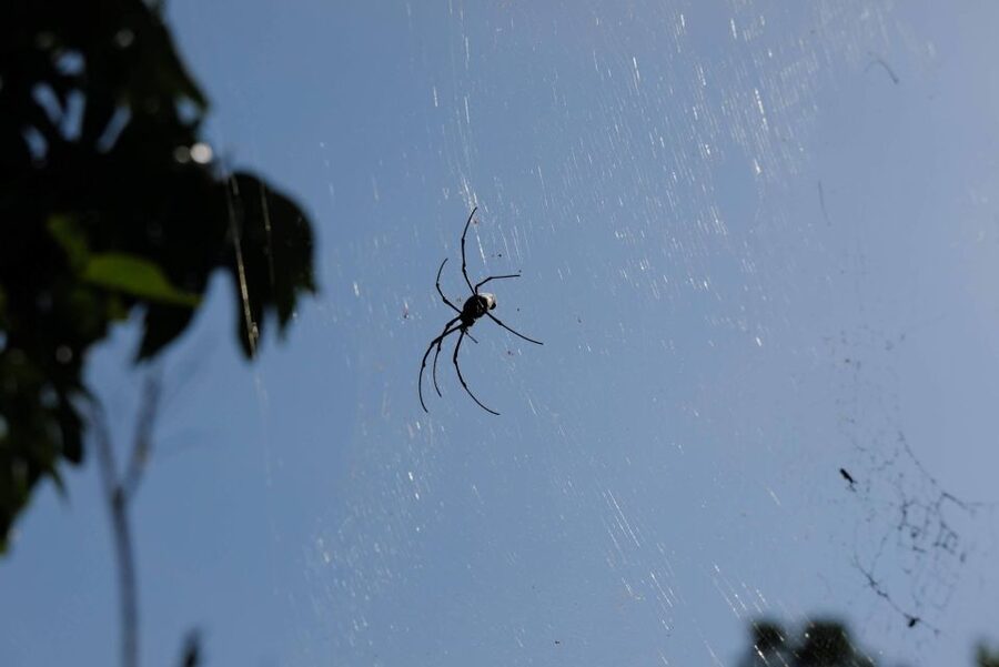Krabi Outback Explorer with Visit of Tiger Cave Temple - From your hotel to Khao Pra Bang Khram