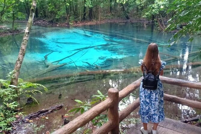 Krabi Private Snorkeling Cruise with Bioluminescent Night Snorkel - Who should book this cruise?