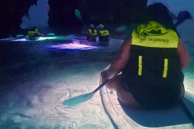 Krabi Stand-Up Paddleboard Illuminated Night Tour - How the Guides Shape the Night