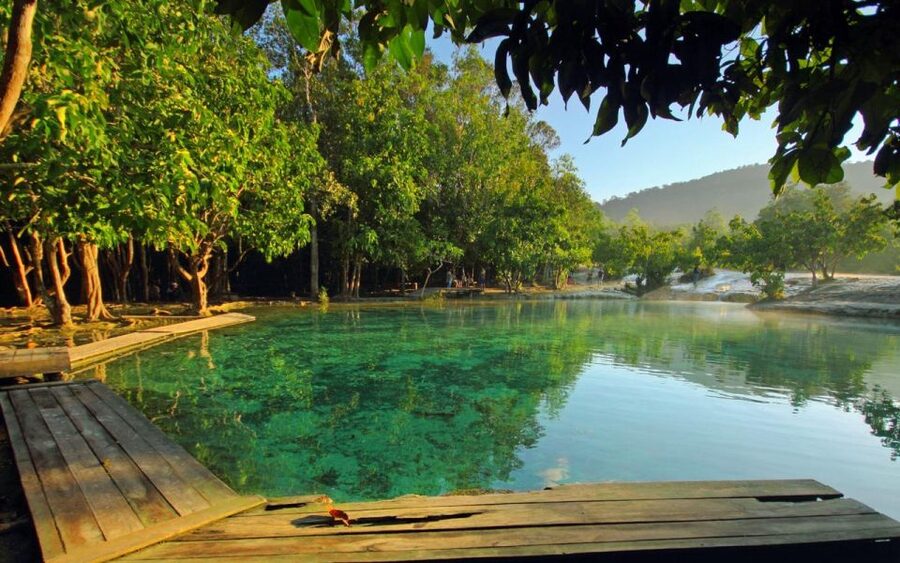 Krabi: Tiger Cave, Hot Springs and Emerald Pool Jungle Tour - Tiger Cave Temple: 1,260 steps each way