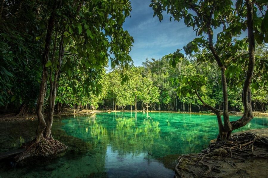 Krabi: Tiger Temple, Hot Springs & Crystal Pool Jungle Tour - The essential points
