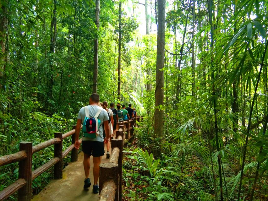 Krabi: Tiger Temple, Hot Springs & Crystal Pool Jungle Tour - Klong Thom: a warm-water pause