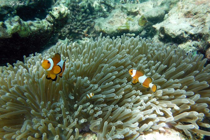 Krabi to James Bond and Hong Islands Offbeat Speedboat Tour - Why this route is more than a James Bond photo