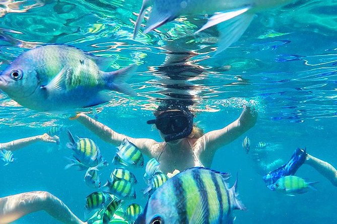 Krabi to Phi Phi Islands by Speedboat - A few practical details before you go