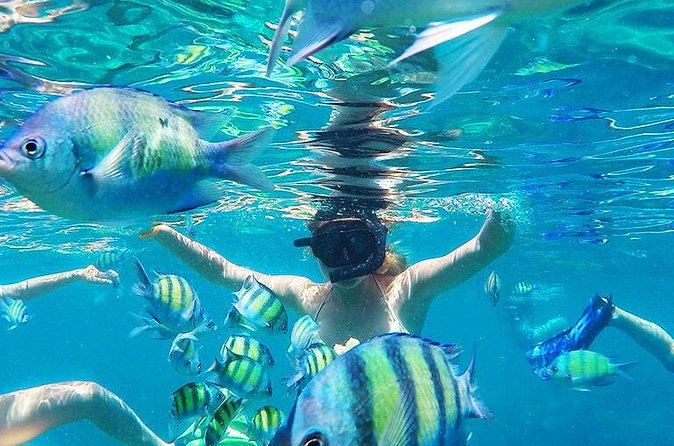 Krabi to Phi Phi Islands by Speedboat - From Krabi pickup to the pier