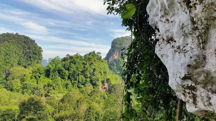 Krabi: Ziplining with Abseiling and Rock Climbing Options - Should you book this Krabi adventure?