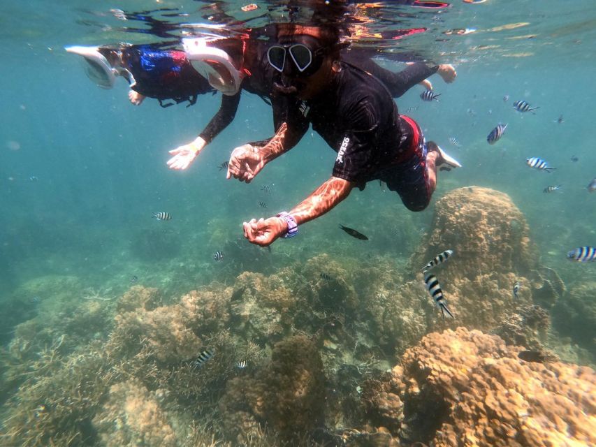 Phi Phi: Half-Day Phi Phi Snorkeling Trip by Longtail Boat - What $26 buys, and what it doesn’t