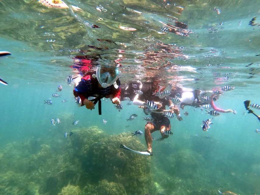 Phi Phi: Half-Day Phi Phi Snorkeling Trip by Longtail Boat - FAQ