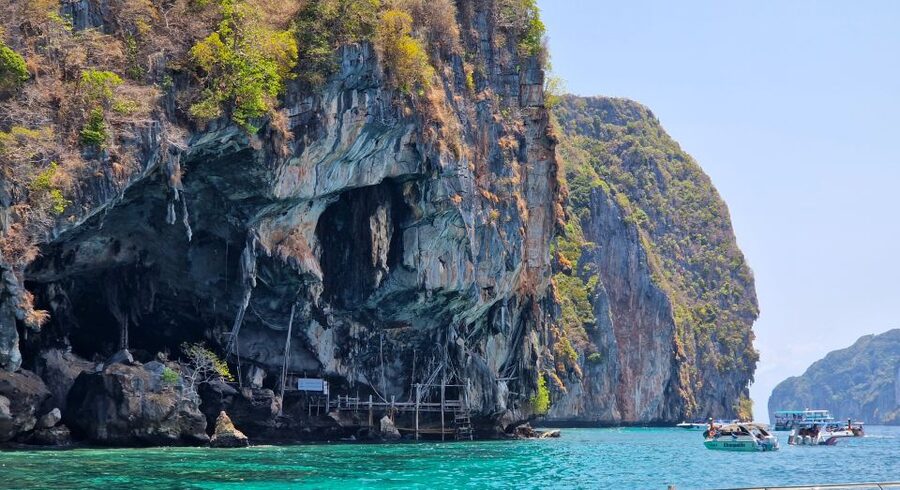Phi Phi: Morning Speedboat Tour to Maya Bay with Snorkel - Who should choose this Phi Phi tour?