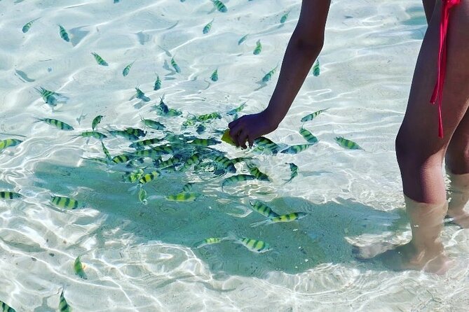 Private Longtail Boat Tour to Hong Islands - Should you book the Hong Islands tour?