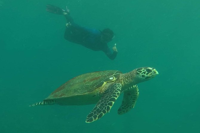 Private Phi Phi & 4 Islands Sunset Cruise by Speedboat - from Krabi - Should you book this Phi Phi sunset cruise?