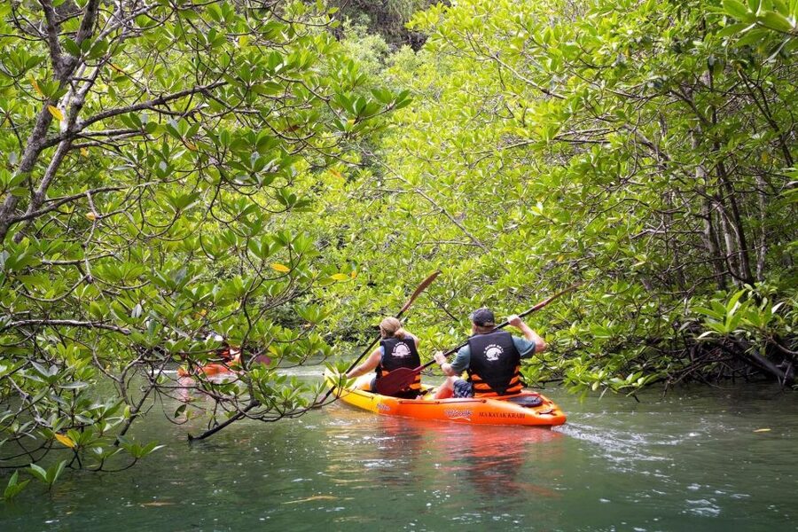 Sea Kayaking in Ao Thalane & Optional Full-Day Hong Island - Ao Thalane’s mangrove corridors