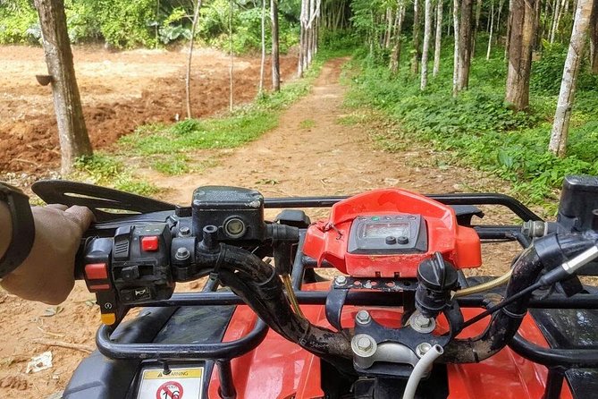 Thrilling Zipline Adventures at Thai'd Up in Krabi's Lush Jungle - Who will enjoy it, and who may prefer another plan