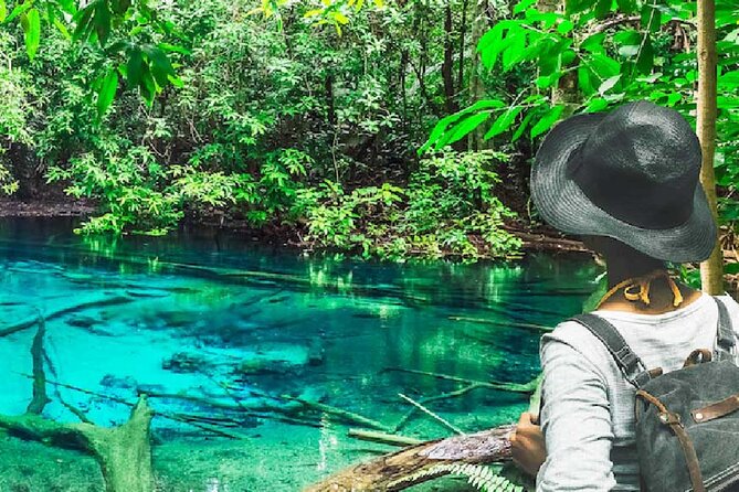 Tiger Cave Temple, Emerald Pool & Hot Springs Tour from Krabi - Emerald Pool first, with time to swim