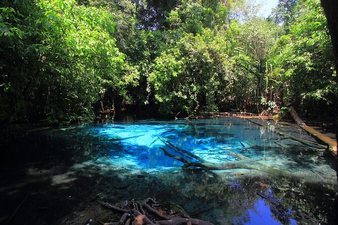 Tiger Cave Temple, Emerald Pool & Hot Springs Tour from Krabi - Namtok Ron’s hot water is a different kind of swim